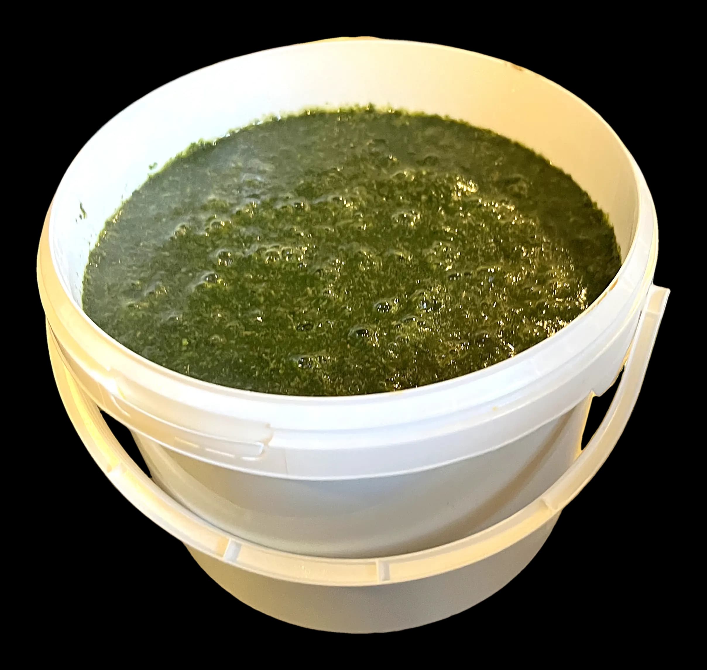Aso-Rock Ewedu (Large Pot)